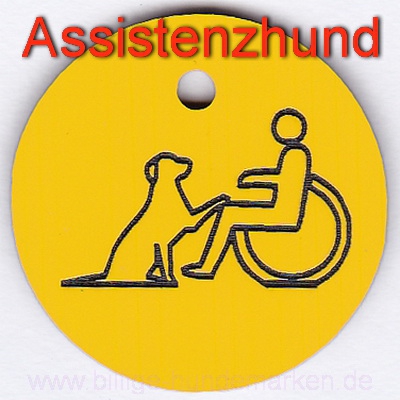 Handicap